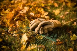 Balkon Deko Ideen: Tipps für ein gemütliches Außenambiente