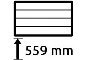 Höhe 559