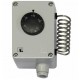 REGULUS TS9501.02 Raumthermostat mit Edelstahlfühler, IP55, -35/+35°C, 10804