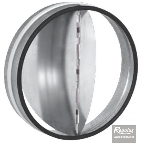 REGULUS RSKT-125 Rückschlagventil mit Dichtung, 125 mm, 10872 REGULUS RSKT-125 Rückschlagventil mit Dichtung, 125 mm, 10872