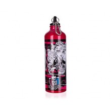 BANQUET Trinkflasche 750 ml, Monster High 1230MH37238