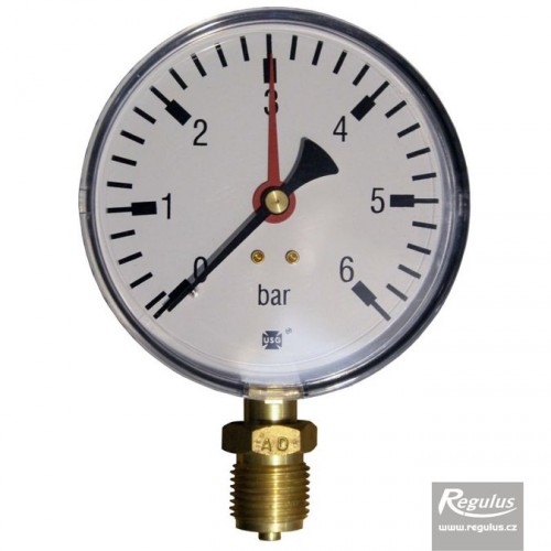 REGULUS MR10006BL Manometer 6 bar, G 1/2" unten, O100 mm, 3320