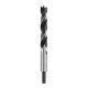 DeWALT DT4520-QZ 20mm Brad Point Drill Bit