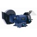 B-WARE Einhell BT-WD 150/200 Nass-Trockenschleifer 4417215