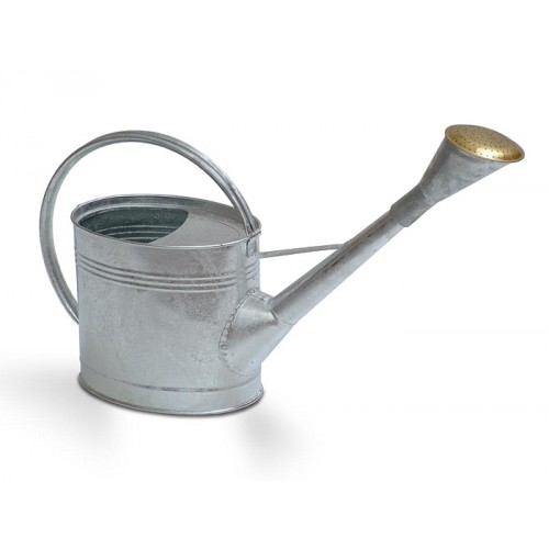 Garden Select Zink - Gießkanne 12 L mit Messing Brause Garden Select Zink - Gießkanne 12 L mit Messing Brause