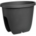 PLASTKON Geländerkasten Balconia Ovi 30 cm anthrazit
