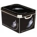 CURVER Aufbewahrungsbox DECO- L - ANGEL, 39,5 x 25 x 29,5 cm, schwarz, 04711-A59