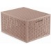 CURVER KAYA M 20L Aufbewahrungsbox 37,6 × 30 × 20,7 cm, Puderrosa 17213763