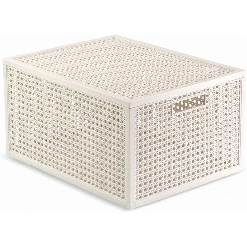 CURVER KAYA M 20L Aufbewahrungsbox 37,6 × 30 × 20,7 cm, Beige 17213763