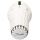 Danfoss RAE 5154 Thermostatkopf, 013G5154