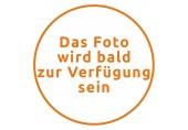 B-WARE!! SCHEPPACH SG1000 Stromerzeuger 700 W 5906218901 BESCHÄDIGT!!
