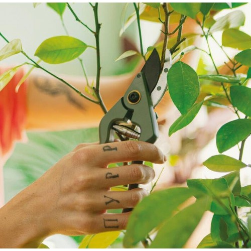 Fiskars Plant Care Gartenschere mit Hülle, 20 cm 1075314