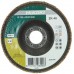 HiKOKI 4100116 Fächerschleifscheibe 125x22, 23mm, 40