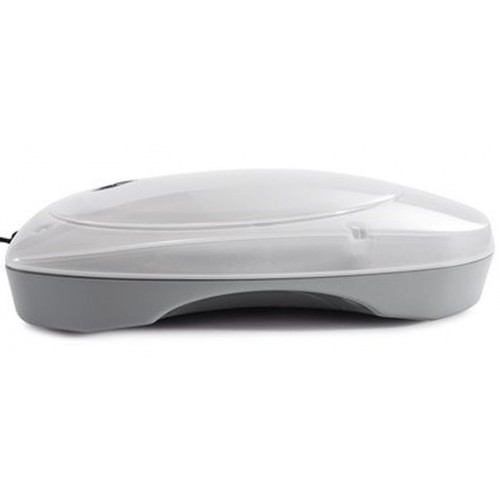 INTEX universelle LED-Poolbeleuchtung für Aufstellpool 28698