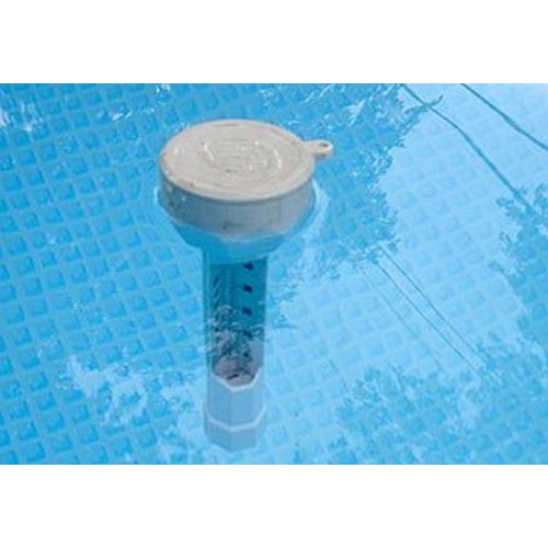 INTEX Pool Thermometer 29039