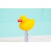 STEINBACH Tiermotiv Schwimmthermometer, Ente 061315