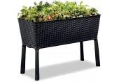 KETER EASY GROW 120L Hochbeet/Pflanzkasten, anthrazit 17194592