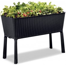 KETER EASY GROW 120L Hochbeet/Pflanzkasten, anthrazit 17194592