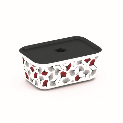 KIS CHIC BOX PLUS S JAPAN GINKGO 24x17,5x10cm 3L