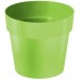 PROSPERPLAST IML Blumentopf ohne Druck 12 cm, Limette DR120