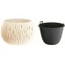 Prosperplast SANDY Bowl Blumentopf 14cm, 0,75l, creme DSK150