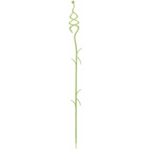 PROSPERPLAST Orchideenstab Coubi 55 cm transparent-grün ISTC02 PROSPERPLAST Orchideenstab Coubi 55 cm transparent-grün ISTC02