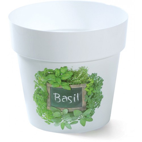 PROSPERPLAST Blumentopf Übertopf IML 14 cm Kräuter Basil H3 DML140