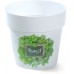 PROSPERPLAST Blumentopf Übertopf IML 12 cm Kräuter Basil H3 DML120