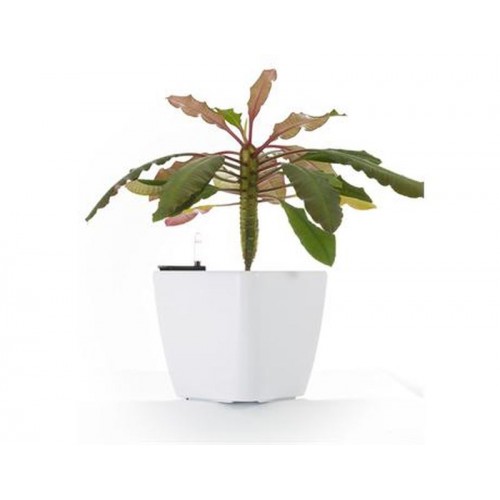 G21 Blumentopf mit Wasserspeicher Cube weiß 22 cm 6392410 G21 Blumentopf mit Wasserspeicher Cube weiß 22 cm 6392410