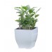 G21 Blumentopf mit Wasserspeicher Cube mini weiß 13,5 cm 6392570