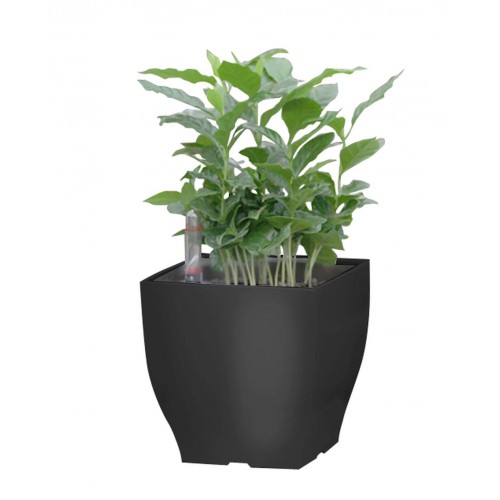 G21 Blumentopf mit Wasserspeicher Cube mini 13,5 cm schwarz 6392573 G21 Blumentopf mit Wasserspeicher Cube mini 13,5 cm schwarz 6392573