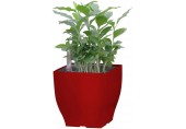 G21 Blumentopf mit Wasserspeicher Cube mini rot 13,5 cm 6392574