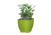 G21 Blumentopf mit Wasserspeicher Cube mini grün 13,5 cm 6392575