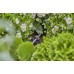 GARDENA Micro-Drip-System Rohrhalter 3/16“ 13218-20 (15 Stk.)