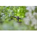 GARDENA Micro-Drip-System Rohrhalter 3/16“ 13218-20 (15 Stk.)