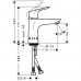 Hansgrohe Focus Einhebel-Waschtischmischer 100, chrom 31517000
