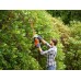 Black & Decker BEHTS301-QS Elektro-Heckenschere (50cm/500W)