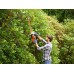Black & Decker BEHTS401-QS Elektro-Heckenschere (55cm/500W)