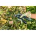 Bosch EasyPrune Akku-Gartenschere 06008B2100