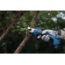BOSCH GGP 12V-25 PROFESSIONAL Akku-Gartenschere 06008D8100