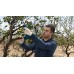 BOSCH PRO PRUNER PROFESSIONAL Akku-Gartenschere 12V, 2x 3,0Ah 06019K1021