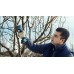 BOSCH PRO PRUNER PROFESSIONAL Akku-Gartenschere 12V, 2x 3,0Ah 06019K1021