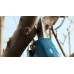 BOSCH PRO PRUNER PROFESSIONAL Akku-Gartenschere 12V, 2x 3,0Ah 06019K1021