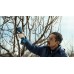BOSCH PRO PRUNER PROFESSIONAL Akku-Gartenschere 12V, 2x 3,0Ah 06019K1021