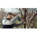 BOSCH PRO PRUNER PROFESSIONAL Akku-Gartenschere 12V, 2x 3,0Ah 06019K1021