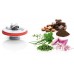 Bosch TastyMoments Set MUZ45XTM1