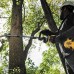 DeWALT DT20685-QZ Verlängerungsstück für Spaltbaum Grasschneider, 53 cm