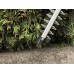 Einhell GC-CH 1855/1 Li-Solo Akku-Heckenschere (18V/ohne akku) 3410502