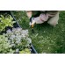Fiskars OneClick Unkrautstecher (28,8 cm) 1080694