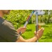 GARDENA TeleCut Basic Teleskop-Astschere 12020-20